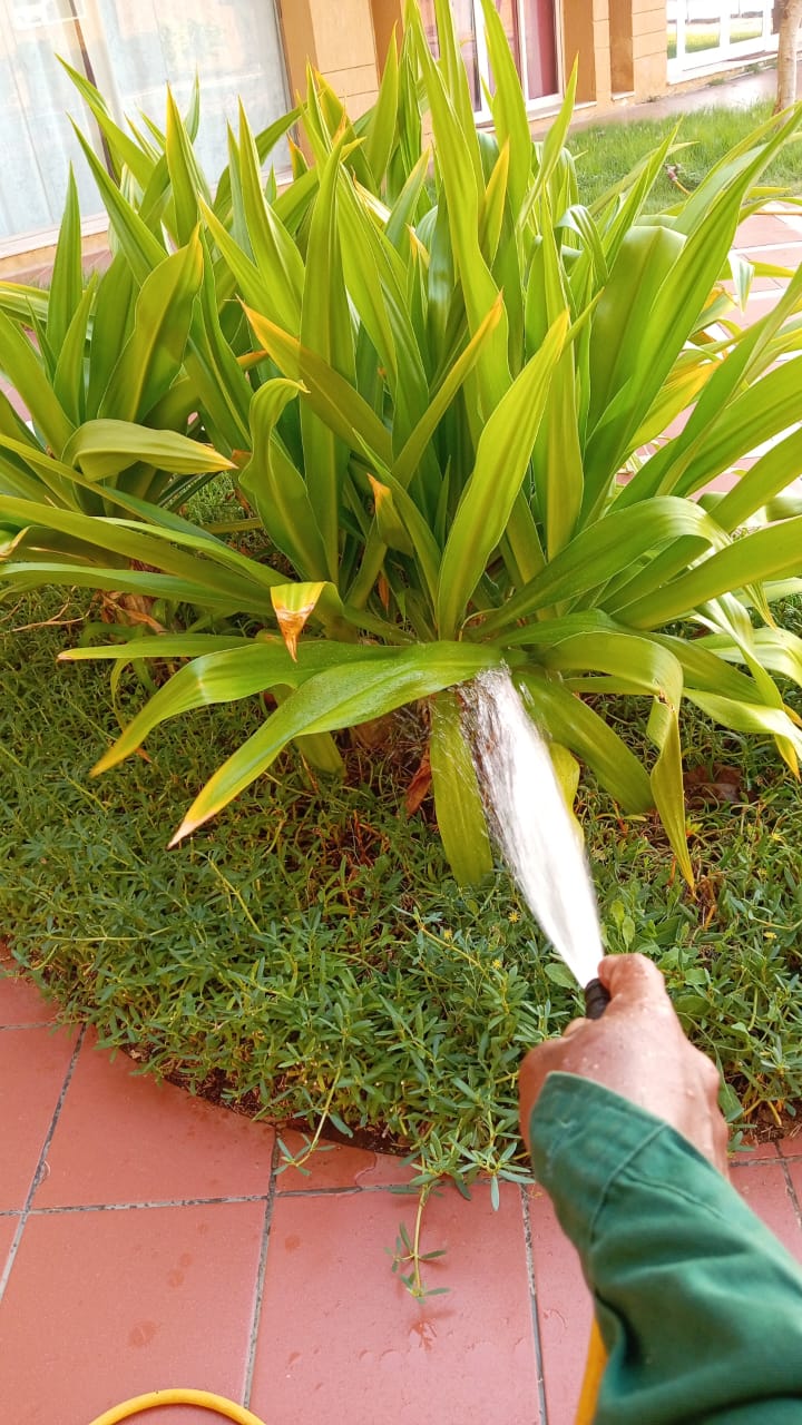 صورة مشروع 4