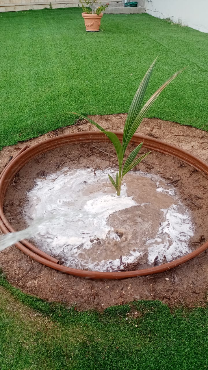 صورة مشروع 6