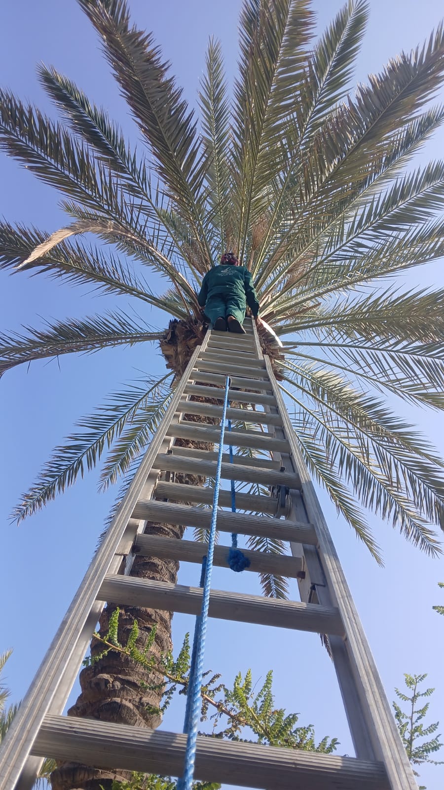 صورة مشروع 5